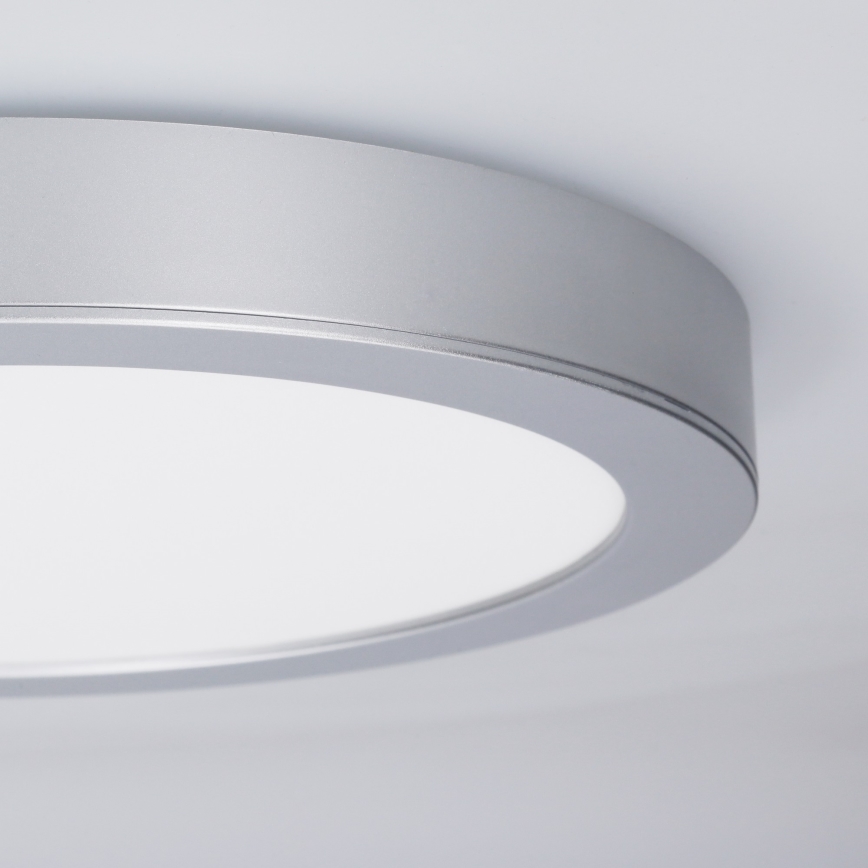 LED Přisazený/podhledový panel 2v1 24W/230V 3000/4000/6000K pr. 30 cm IP54 stř