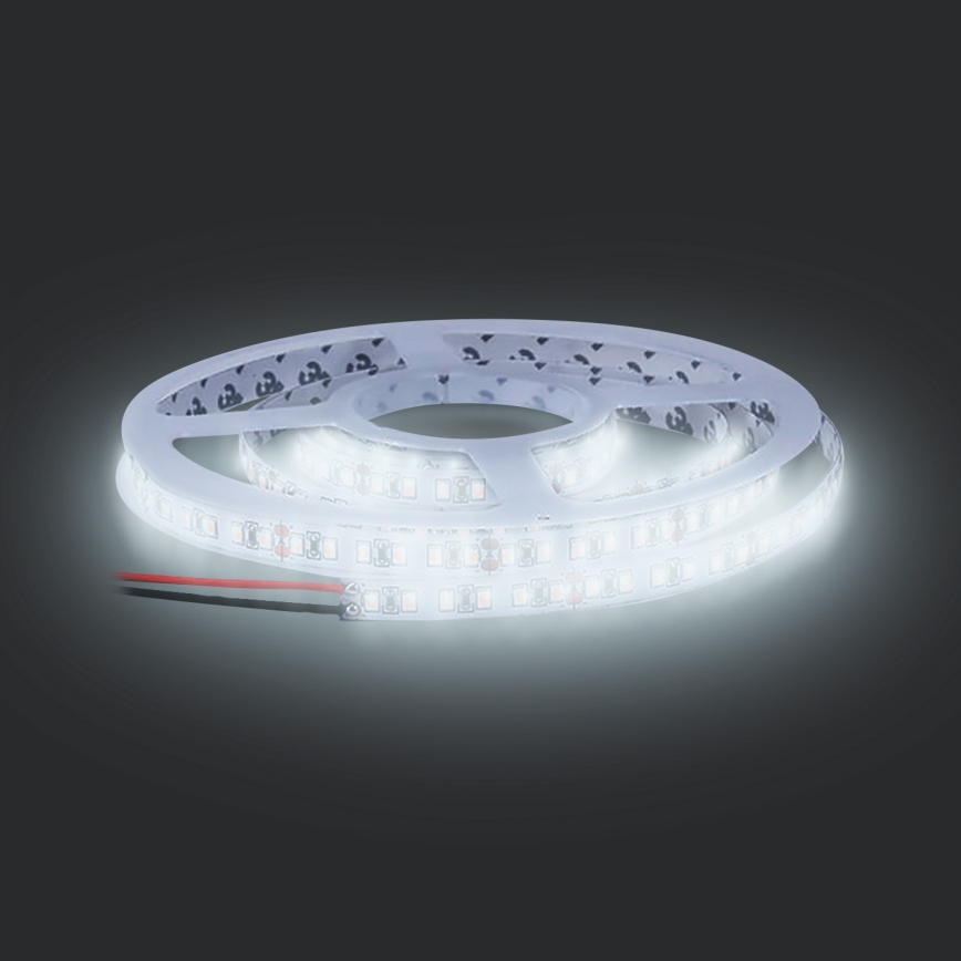 LED Pásek LED/50W/12V 5m studená bílá