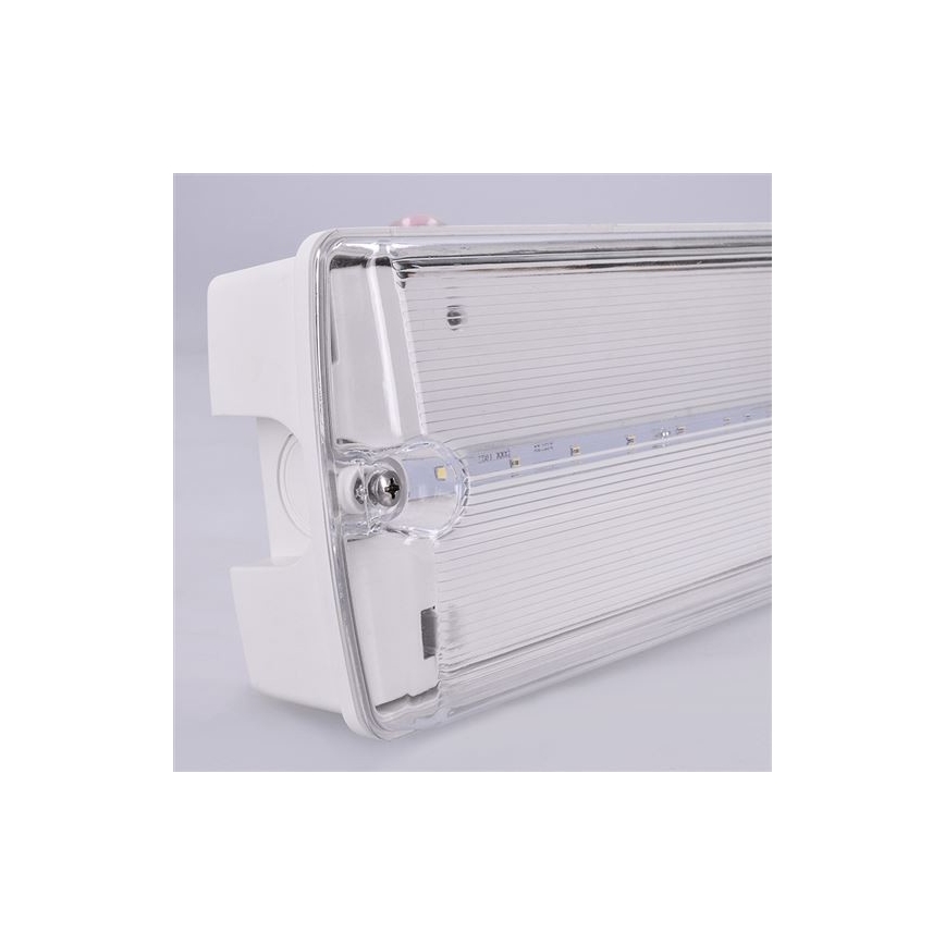 LED Nouzové svítidlo LED/6W/230V IP65 6500K