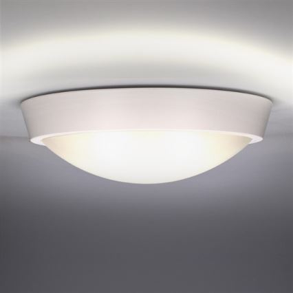 LED Venkovní stropní svítidlo 1xLED/30W/230V  IP65