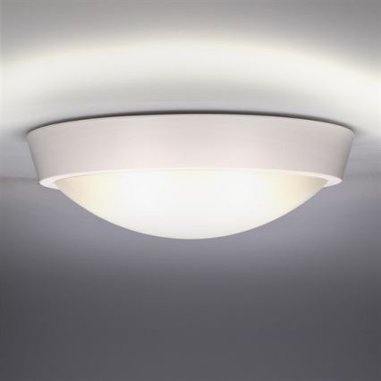 LED Venkovní stropní svítidlo LED/30W/230V  IP65