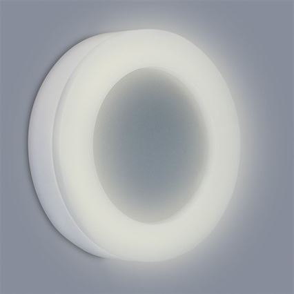 LED Venkovní nástěnné svítidlo RING 1xLED/15W/230V 1050 lm IP65