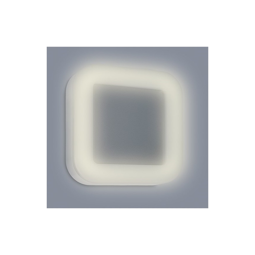 LED Venkovní nástěnné svítidlo FRAME 1xLED/15W/230V 1050 lm IP65