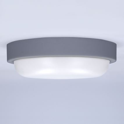 LED Venkovní nástěnné svítidlo LED/13W/230V 4000K IP54 šedá kulatý