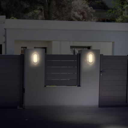 LED Venkovní nástěnné svítidlo LED/20W/230V 4000K IP54 šedá oválný