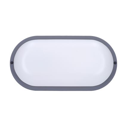 LED Venkovní nástěnné svítidlo LED/20W/230V 4000K IP54 šedá oválný
