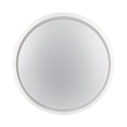 LED Venkovní svítidlo 2v1 LED/12W/230V IP54