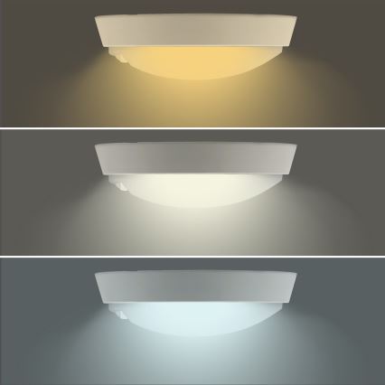 LED Venkovní svítidlo se senzorem 2v1 LED/18W/230V IP54