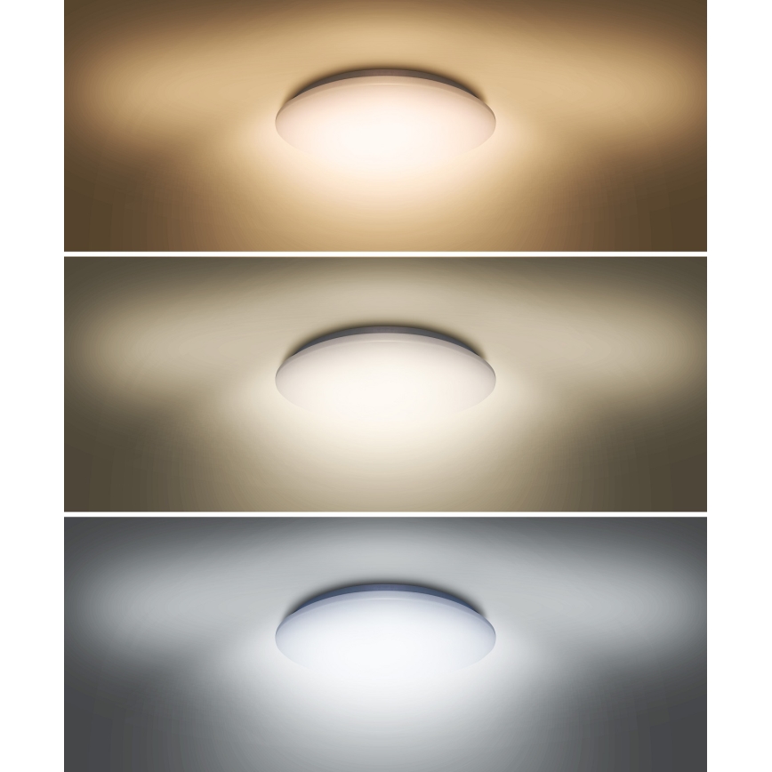 LED Stropní svítidlo PLAIN LED/36W/230V 3000/4000/6000K kulatý