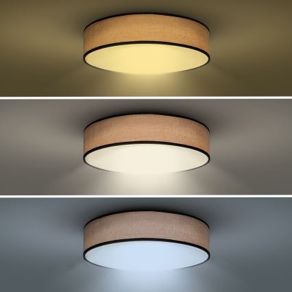 LED Stmívatelné stropní svítidlo BROWNIE LED/48W/230V 3000-6500K hnědá pr. 40 cm + dálkové ovládání