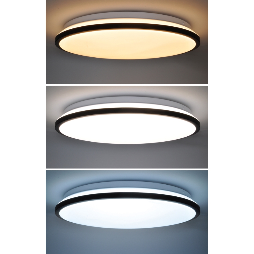 LED Stmívatelné stropní svítidlo JAMIL LED/48W/230V 3000-6500K černá + dálkové ovládání