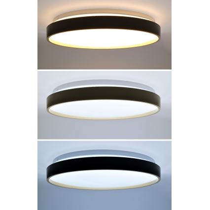LED Stmívatelné stropní svítidlo CALA LED/48W/230V 3000-6500K černá/zlatá + dálkové ovládání