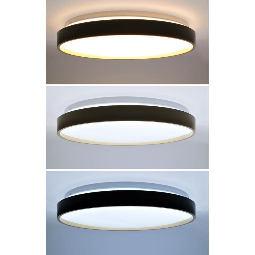LED Stmívatelné stropní svítidlo CALA LED/48W/230V 3000-6500K černá/zlatá + dálkové ovládání