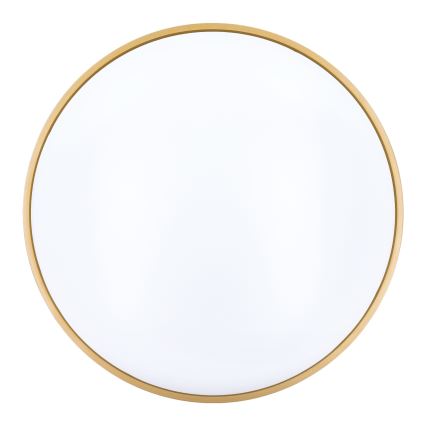 LED Stmívatelné stropní svítidlo CALA LED/48W/230V 3000-6500K černá/zlatá + dálkové ovládání