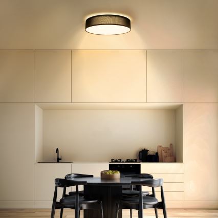 LED Stmívatelné stropní svítidlo PENLEY LED/48W/230V 3000-6500K pr.40 cm černá + dálkové ovládání