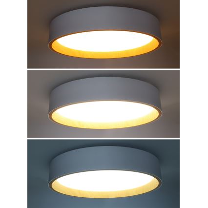 LED Stmívatelné stropní svítidlo LARIOS LED/48W/230V 3000-6500K pr.39 cm bílá+ dálkové ovládání