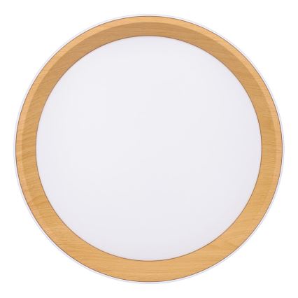 LED Stmívatelné stropní svítidlo LARIOS LED/48W/230V 3000-6500K pr.39 cm bílá+ dálkové ovládání