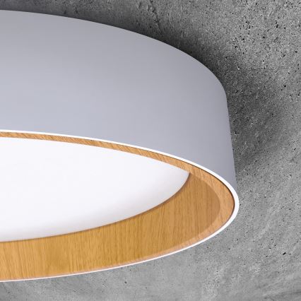 LED Stmívatelné stropní svítidlo LARIOS LED/48W/230V 3000-6500K pr.39 cm bílá+ dálkové ovládání