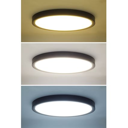 LED Stmívatelné stropní svítidlo ESTELA LED/36W/230V pr.30 cm černá + dálkové ovládání