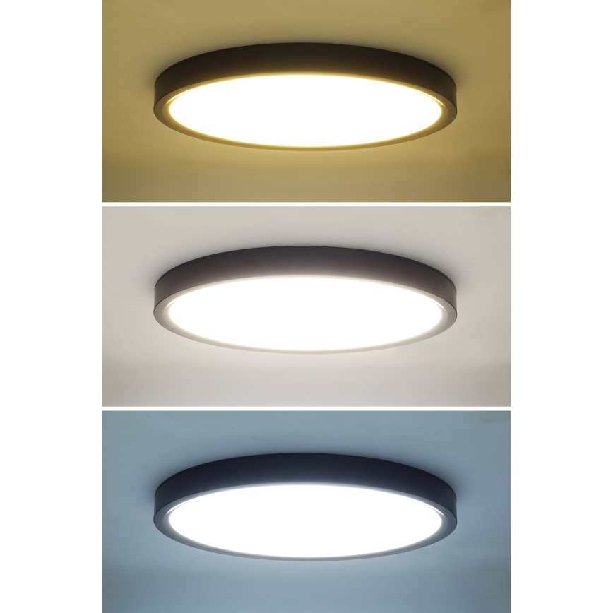 LED Stmívatelné stropní svítidlo ESTELA LED/36W/230V pr.30 cm černá + dálkové ovládání