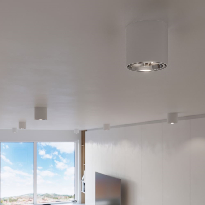 Bodové svítidlo TIUBE1xGU10-AR111/10W/230V