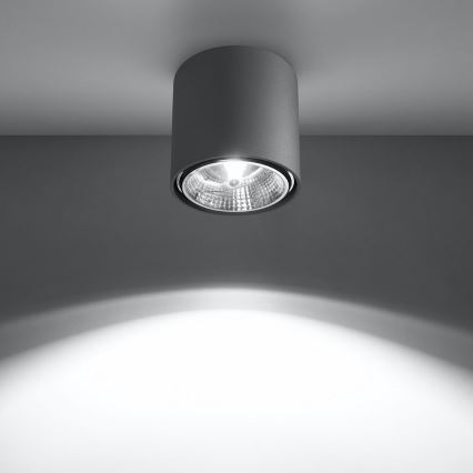 Bodové svítidlo TIUBE 1xGU10-AR111/10W/230V