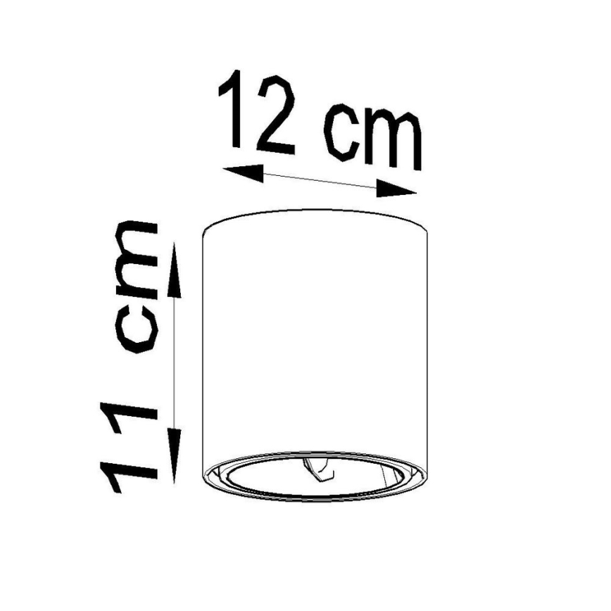 Bodové svítidlo TIUBE 1xGU10-AR111/10W/230V