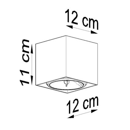 Bodové svítidlo BLAKE 1xGU10/40W/230V