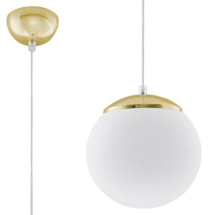 Lustr na lanku TOYA 1xE27/60W/230V pr. 20 cm bílá/zlatá