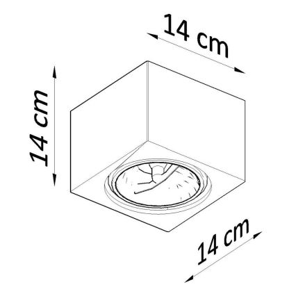 Stropní svítidlo SEIDA 1xGU10/40W/230V