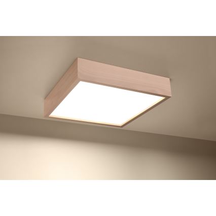 Stropní svítidlo MADERA 3xE27/60W/230V