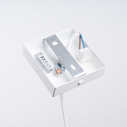 Lustr na lanku ARIES 1xE27/15W/230V buk/bílá