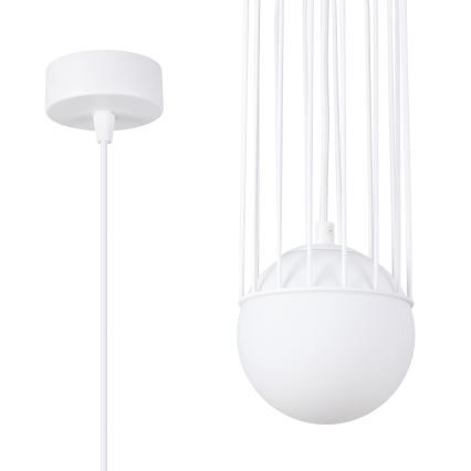 Lustr na lanku BRINA 1xG9/8W/230V bílá