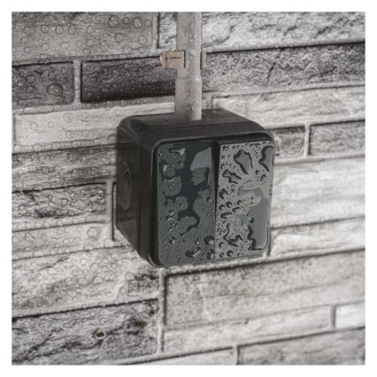 Spínač domovní 2-tlačítkový střídavý č. 6+6 IP55 antracit