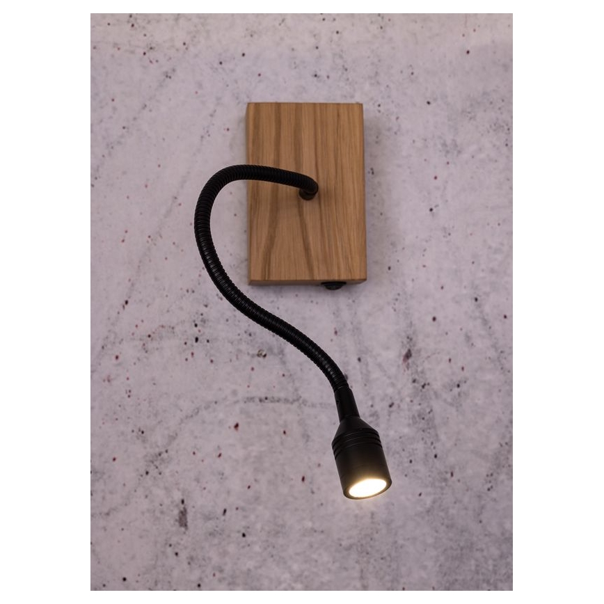 LED Nástěnné svítidlo LECTOR LED/2,5W/230V dub