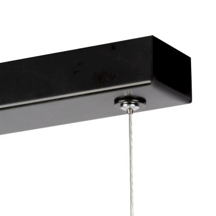 LED Stmívatelný lustr na lanku LUCAS LED/25,5W/230V borovice