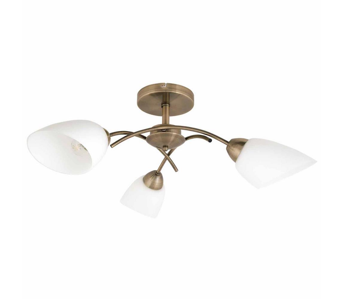 Spot-Light Spot-Light 8141311 - Přisazený lustr VILETTA 3xE27/60W/230V SP0800