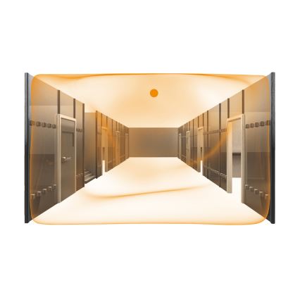 STEINEL 007850 - Senzor pohybu Dual US COM2