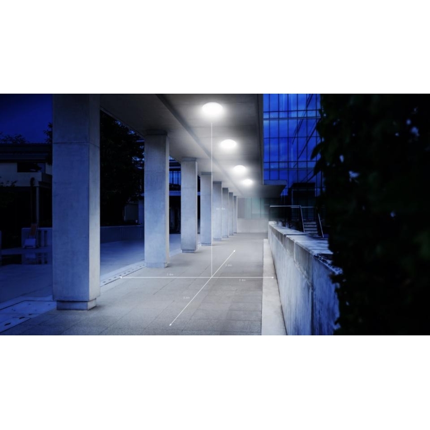 Steinel 035433 - LED Venkovní stropní svítidlo se senzorem QUATTRO LED/14W/230V IP54