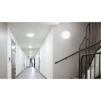 Steinel 035853 - LED Stropní svítidlo se senzorem RS PRO LED/26W/230V 3000K