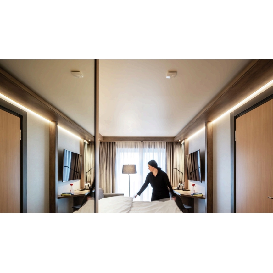 STEINEL 056339 - Senzor pohybu TRUE PRESENCE KNX
