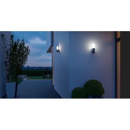 Steinel 065287 - LED Venkovní svítidlo se senzorem L 605 LED/9,5W/230V IP44 antracit