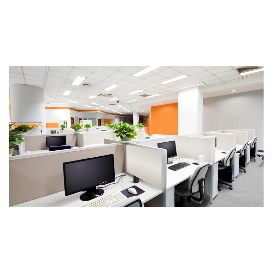 Steinel 079574 - Prezenční hlásič DualTech COM1 bílá