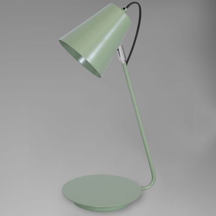 Stolní lampa TABLE LAMPS 1xE27/60W/230V