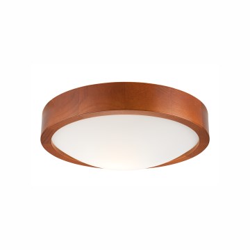 Stropní svítidlo 1xE27/60W/230V