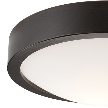 Stropní svítidlo 1xE27/60W/230V