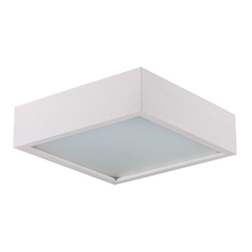 Stropní svítidlo 2xE27/60W/230V 