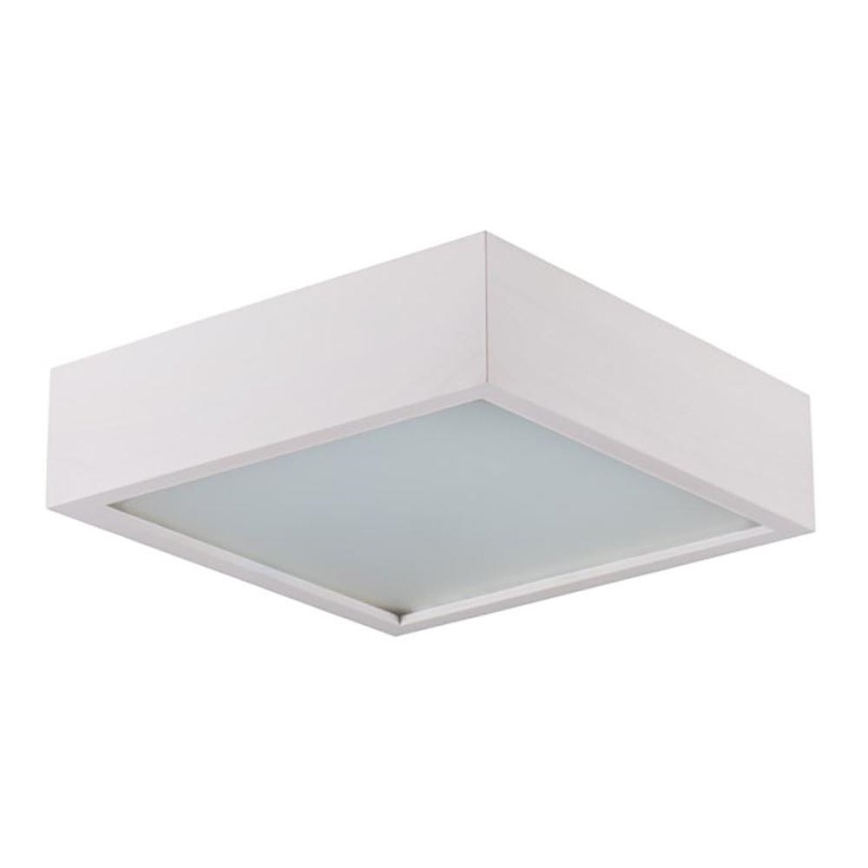 Stropní svítidlo 2xE27/60W/230V 