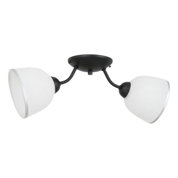 Stropní svítidlo AVIA 2xE27/60W/230V