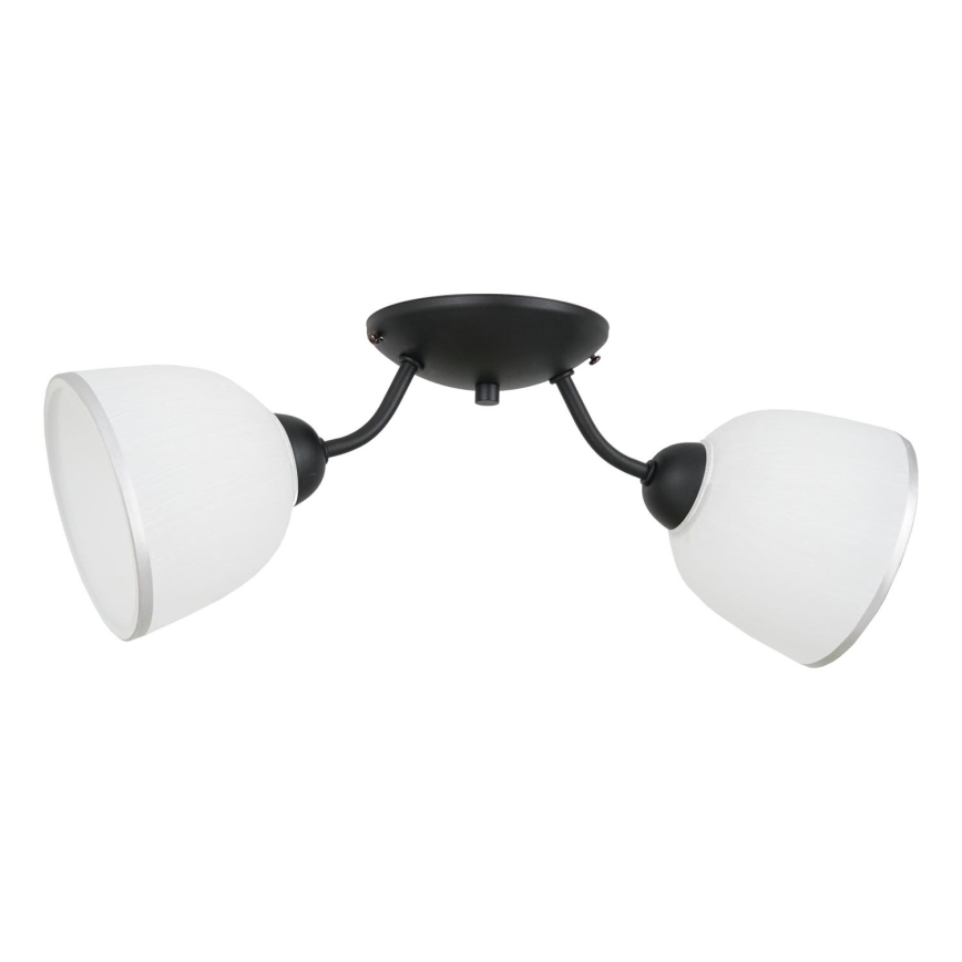 Stropní svítidlo AVIA 2xE27/60W/230V